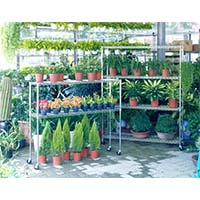 花草植物種植儲(chǔ)物架，立體種植貨架，園藝盆栽置物架（2）