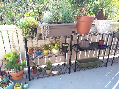 陽臺(tái)露臺(tái)花架 植物種植架案例分享
